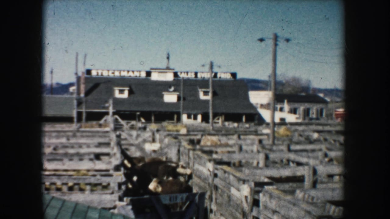 1953 South Dakota stockyard view with wooden pens, a livestock chute, utility poles, and a building marked "STOCKMANS SALES EVERY FRI."
