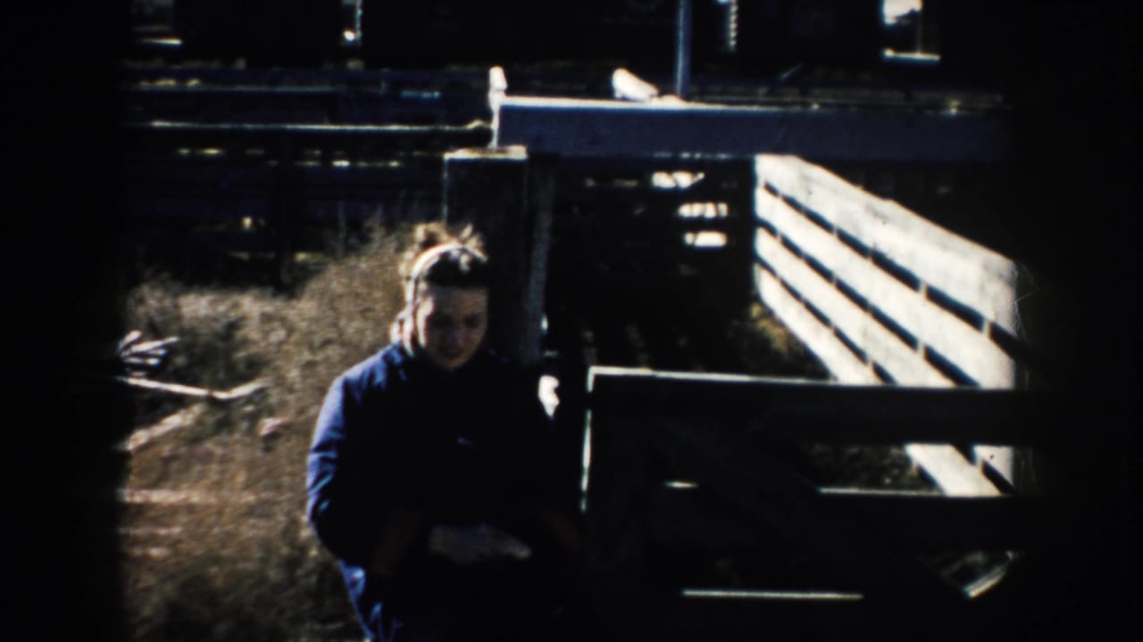 1953 South Dakota home-movie frame showing a woman near wooden stockyard pens, with strong shadows and farmyard fencing around her.