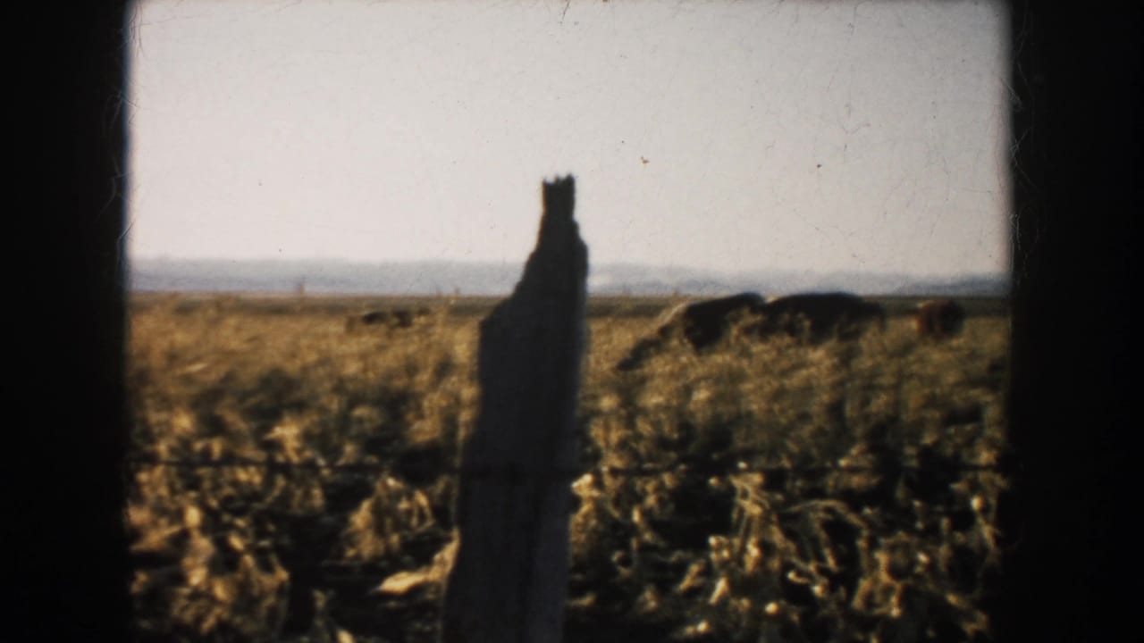 The final frame shifts to a dry rural field with a dark upright object silhouetted against the pale horizon.