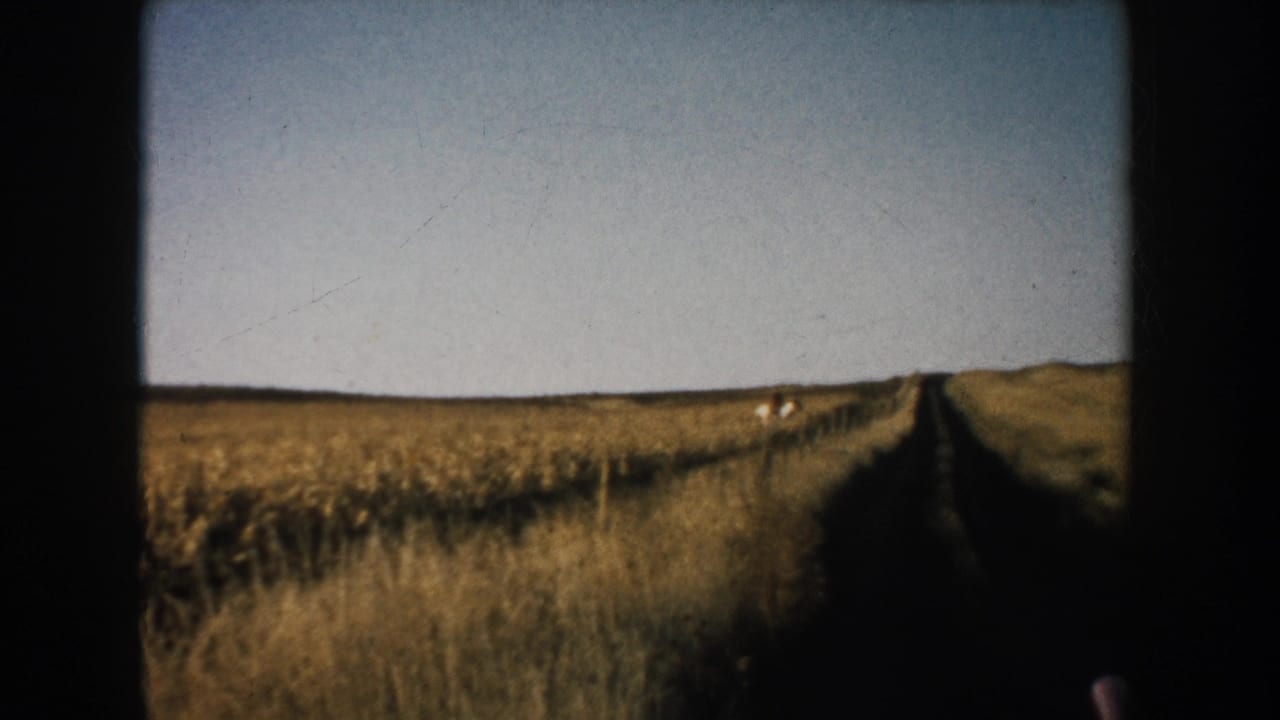 Rural South Dakota field view with a dark dirt track cutting through golden farmland under a pale sky.