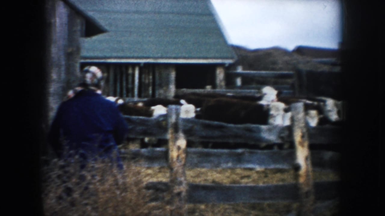 Farmer in a blue jacket stands by a wooden corral with cattle and barns behind.