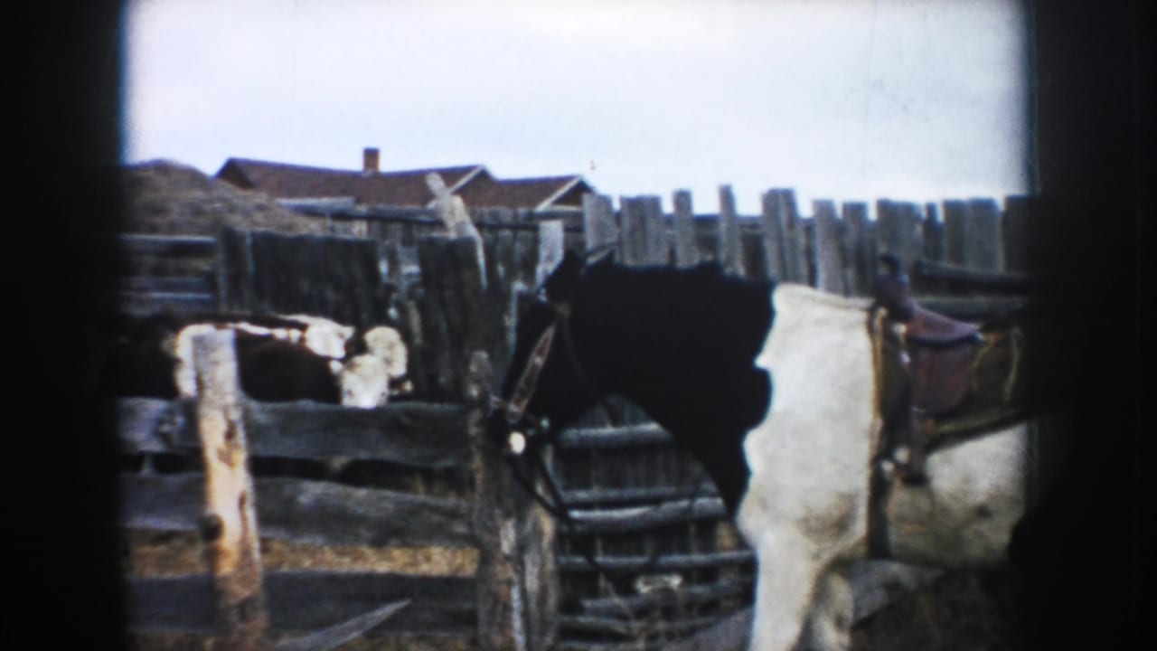 A saddled horse fills the right foreground beside cattle, rough fencing, barns, and hay or straw in this 1953 South Dakota farmyard frame.