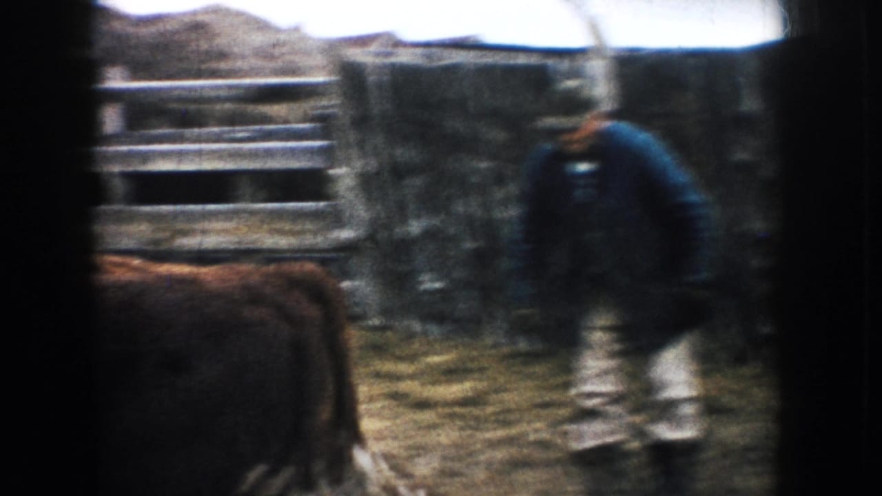 A farmer in a blue jacket and cap stands near cattle in a fenced South Dakota farm area.