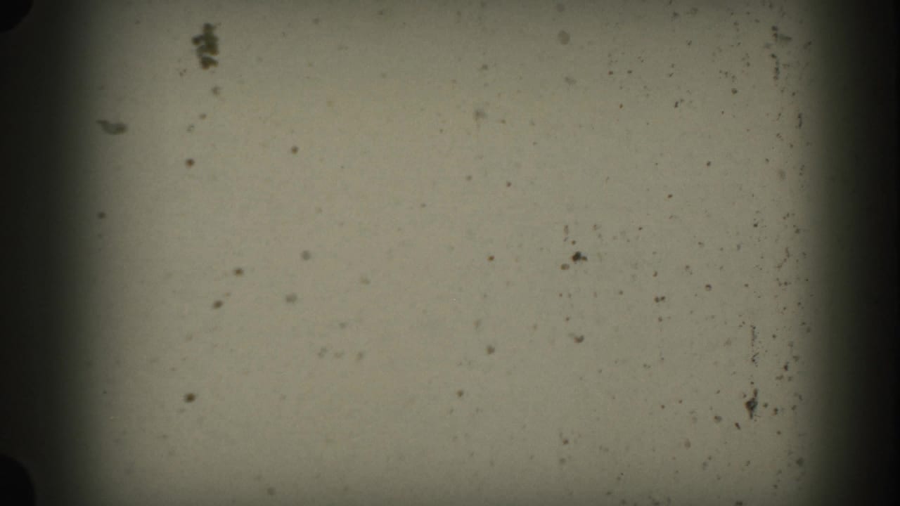 Blank grainy 8mm frame with dust specks and dark film edges.