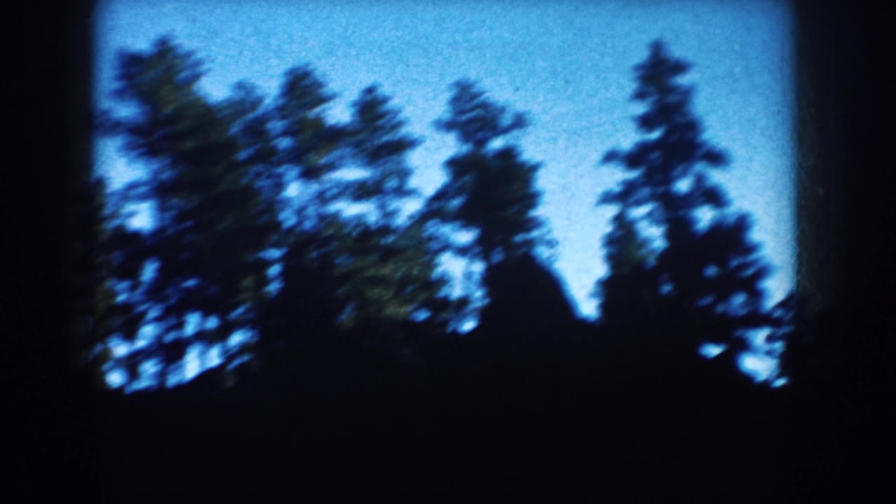 Dark pine silhouettes appear against a deep blue sky in the South Dakota home-movie footage, with soft focus and visible 8mm grain.