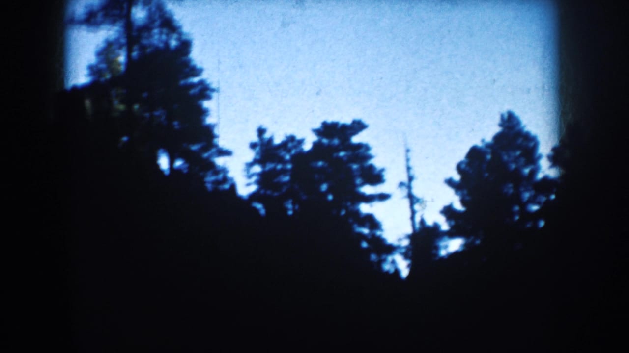 A handheld 1953 South Dakota forest view shows dark tree silhouettes, taller pines, and a pale blue sky with soft 8mm texture.