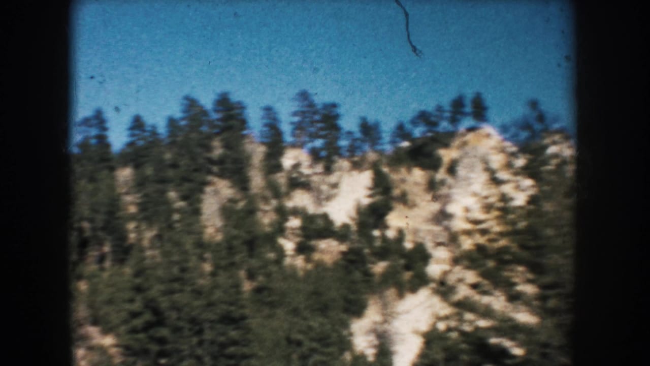 1953 South Dakota 8mm view of a pine-covered ridge and pale cliffs from a moving travel camera.