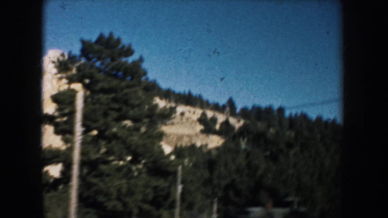 1953 South Dakota frame showing a tall pine, forested hillside, and pale rocky outcrop during a scenic drive.