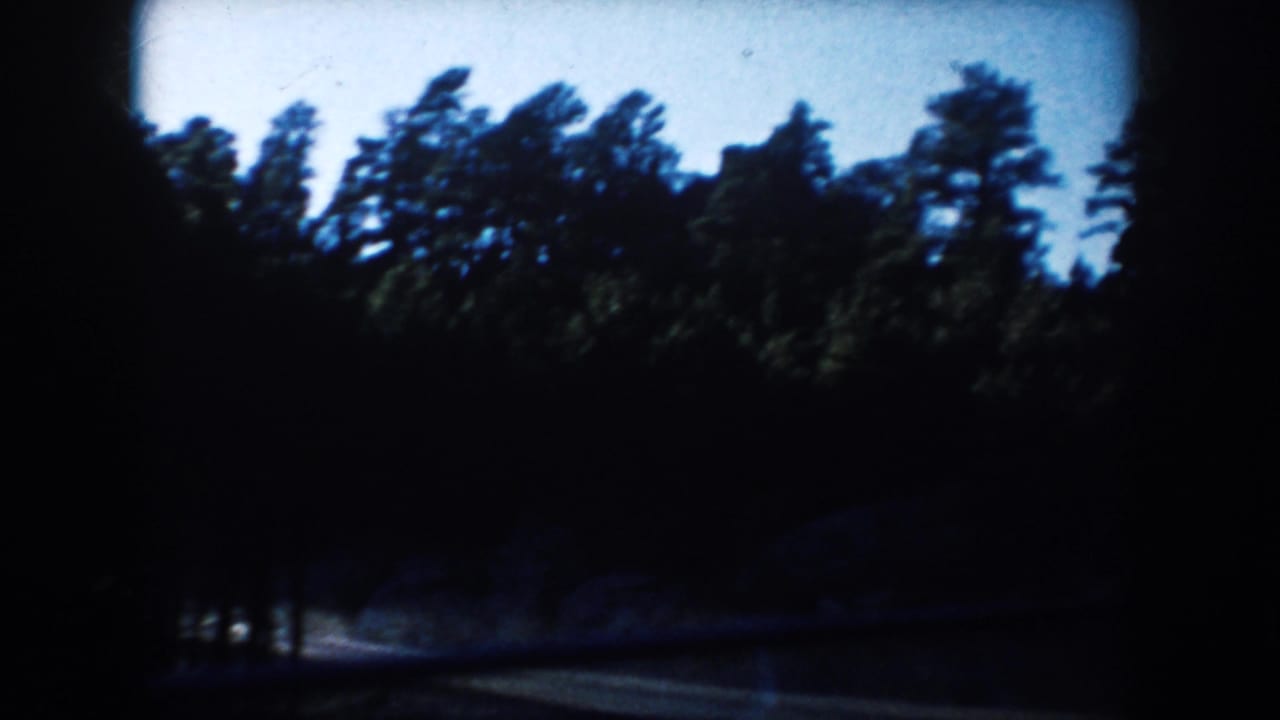 1953 South Dakota 8mm frame showing a moving view of dark pine trees beneath a pale blue sky.