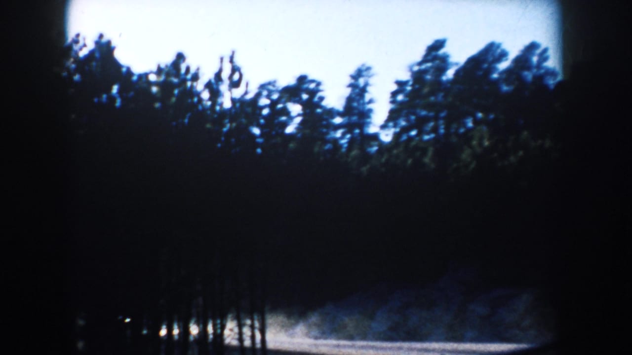 Moving 8mm view in South Dakota with dense pine trees, bright blue sky, and a pale roadside or clearing at the edge.