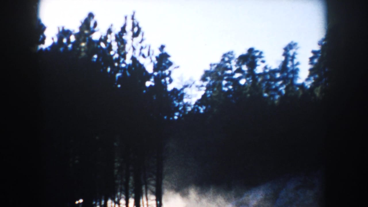 South Dakota home-movie frame with tall pines silhouetted against bright sky and a pale clearing near the lower edge.