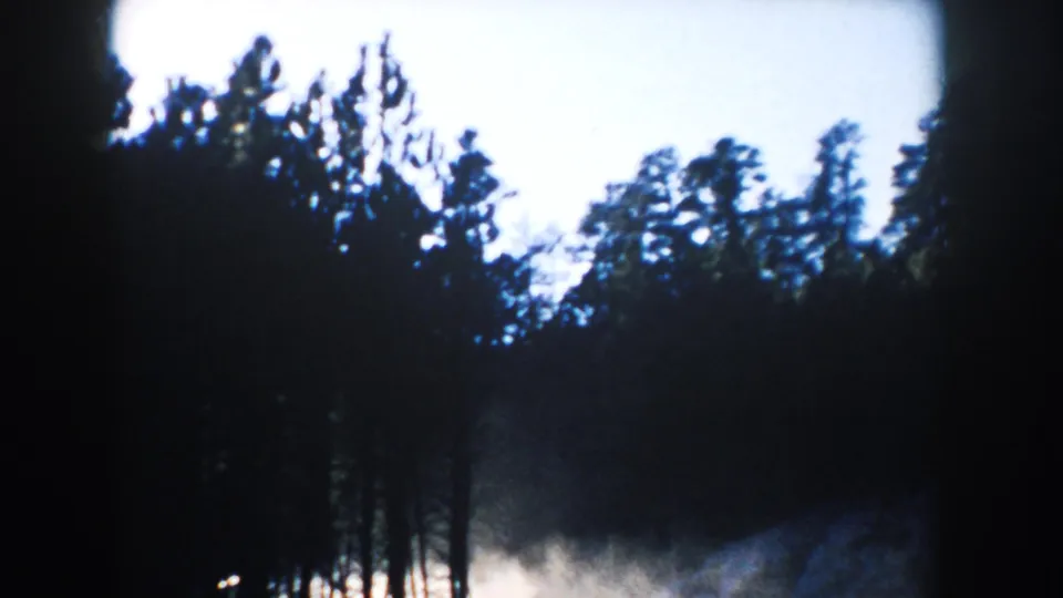 South Dakota home-movie frame with tall pines silhouetted against bright sky and a pale clearing near the lower edge.
