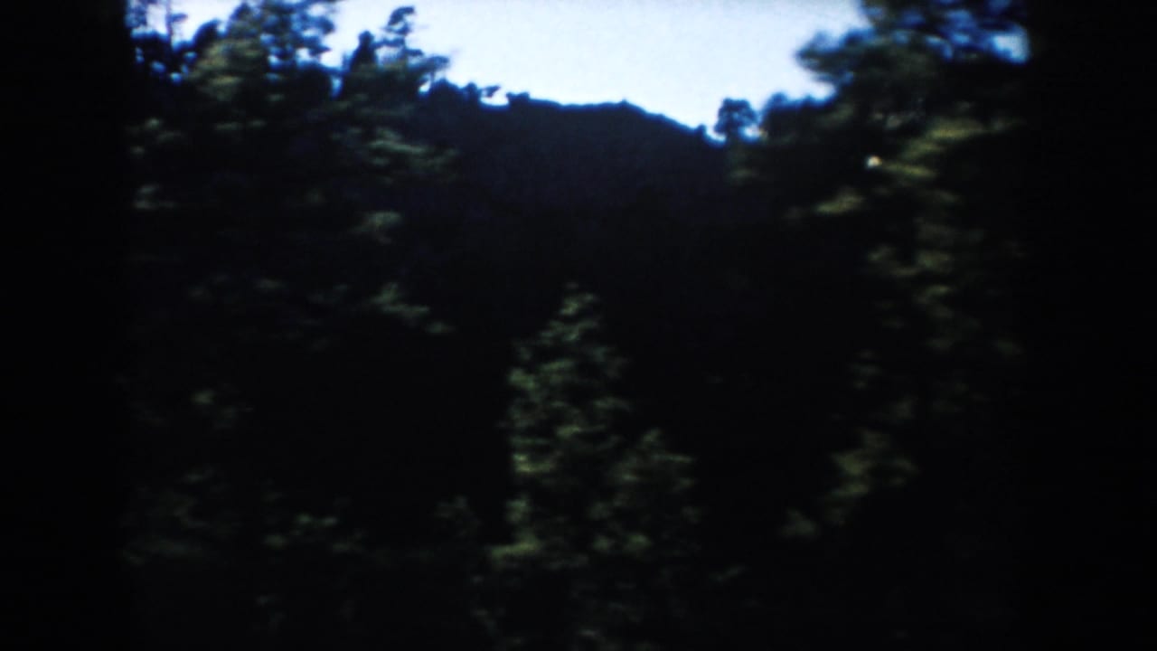 Moving-car view of dark pine forest and distant South Dakota ridgeline beneath a clear blue sky.