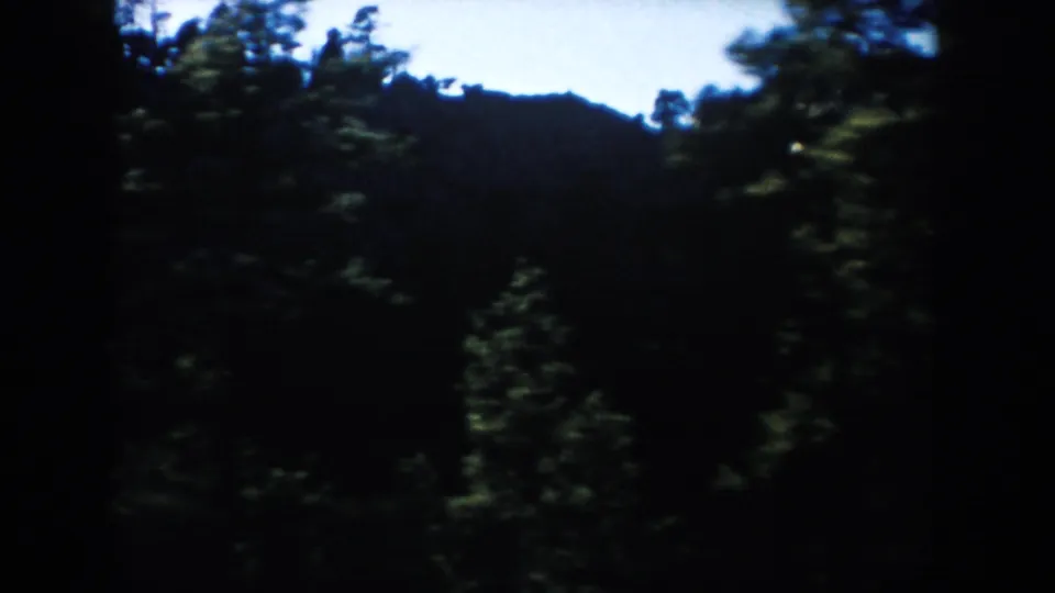 Moving-car view of dark pine forest and distant South Dakota ridgeline beneath a clear blue sky.