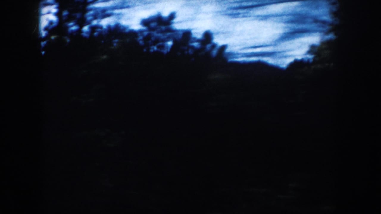 1953 South Dakota home-movie frame showing shadowed trees and a low hill seen from a moving roadside view.