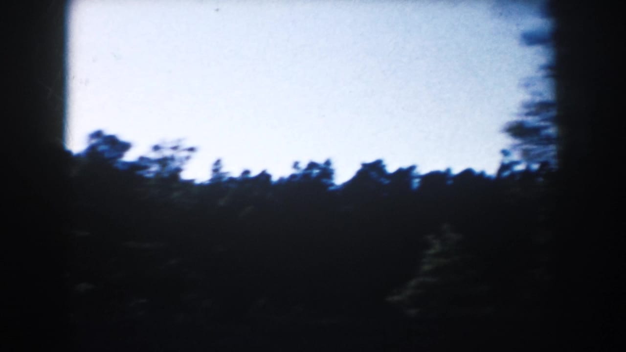 A blurred 8mm roadside view in South Dakota, with dark treetops silhouetted against a washed blue sky.