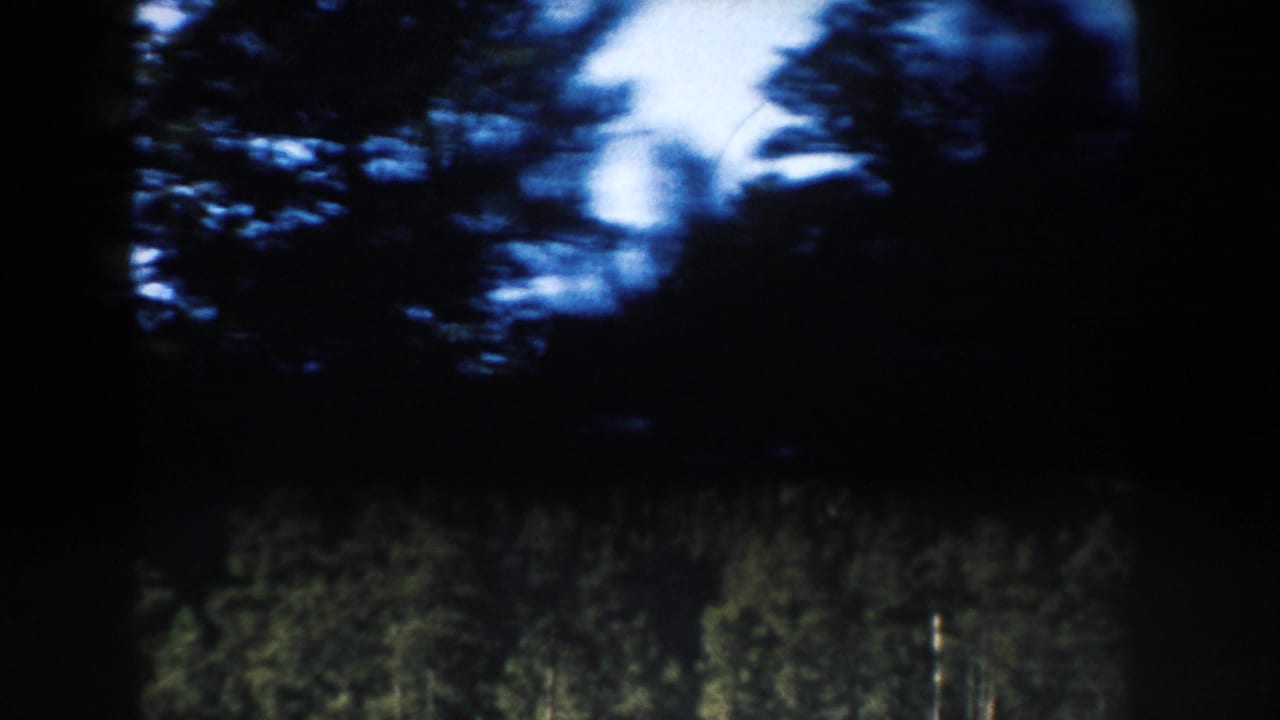 Heavily shadowed 1953 8mm frame of wooded roadside scenery, with trees blurred by travel motion.