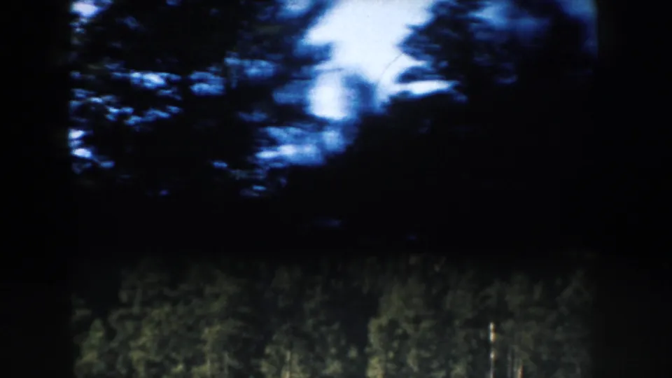 Heavily shadowed 1953 8mm frame of wooded roadside scenery, with trees blurred by travel motion.