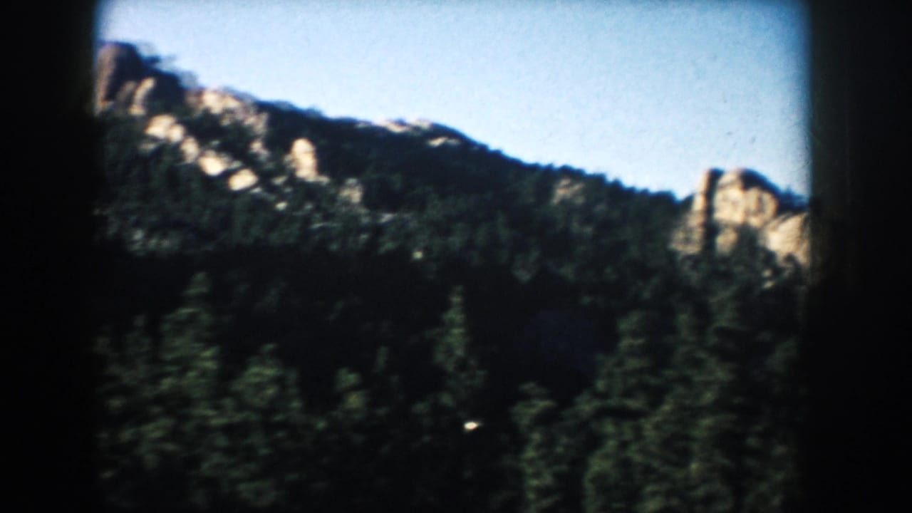 1953 South Dakota travel frame showing forested slopes and sunlit rock formations beyond the roadside trees.