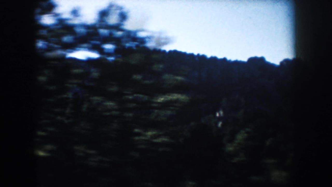 Motion-blurred 1953 South Dakota 8mm view through trees toward a forested hillside beneath a pale blue sky.