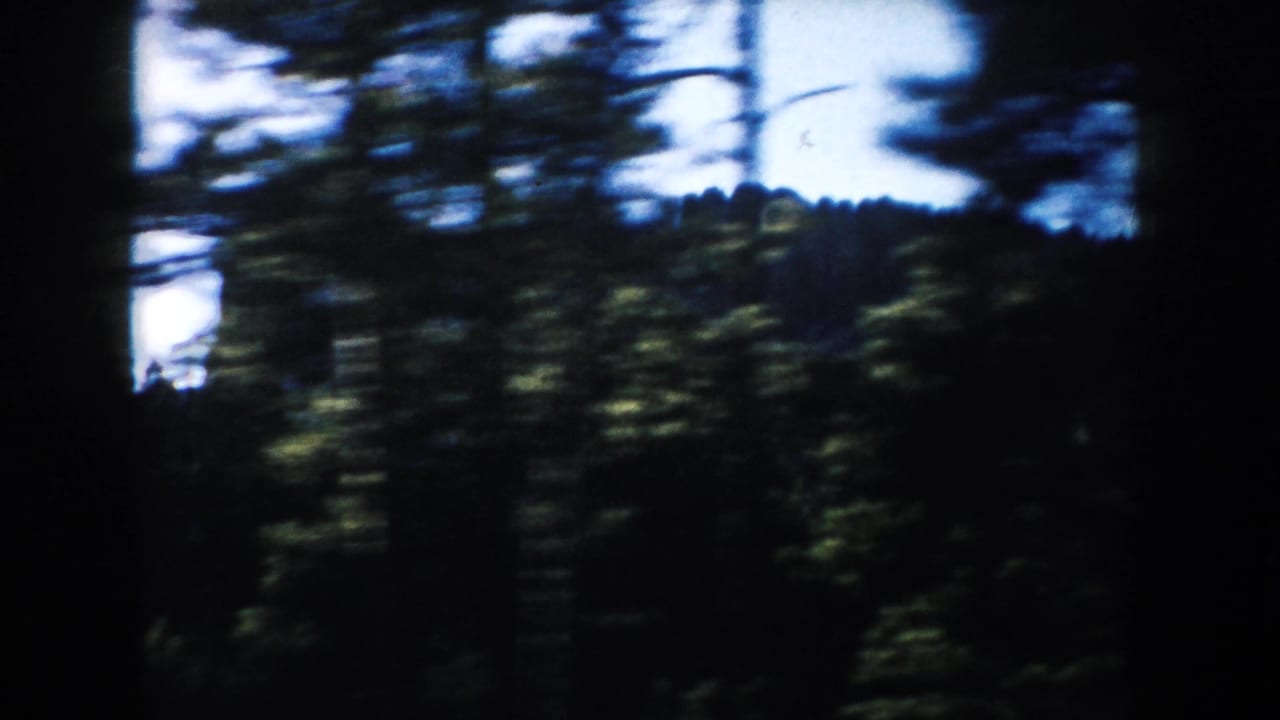 1953 South Dakota 8mm frame with fast foreground trees partially blocking a forested ridge and bright sky.
