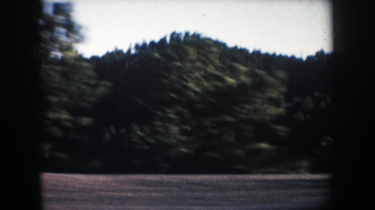 1953 South Dakota 8mm frame showing a blurred wooded hillside from a moving vehicle near Mount Rushmore.