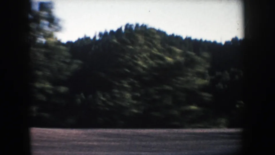 1953 South Dakota 8mm frame showing a blurred wooded hillside from a moving vehicle near Mount Rushmore.