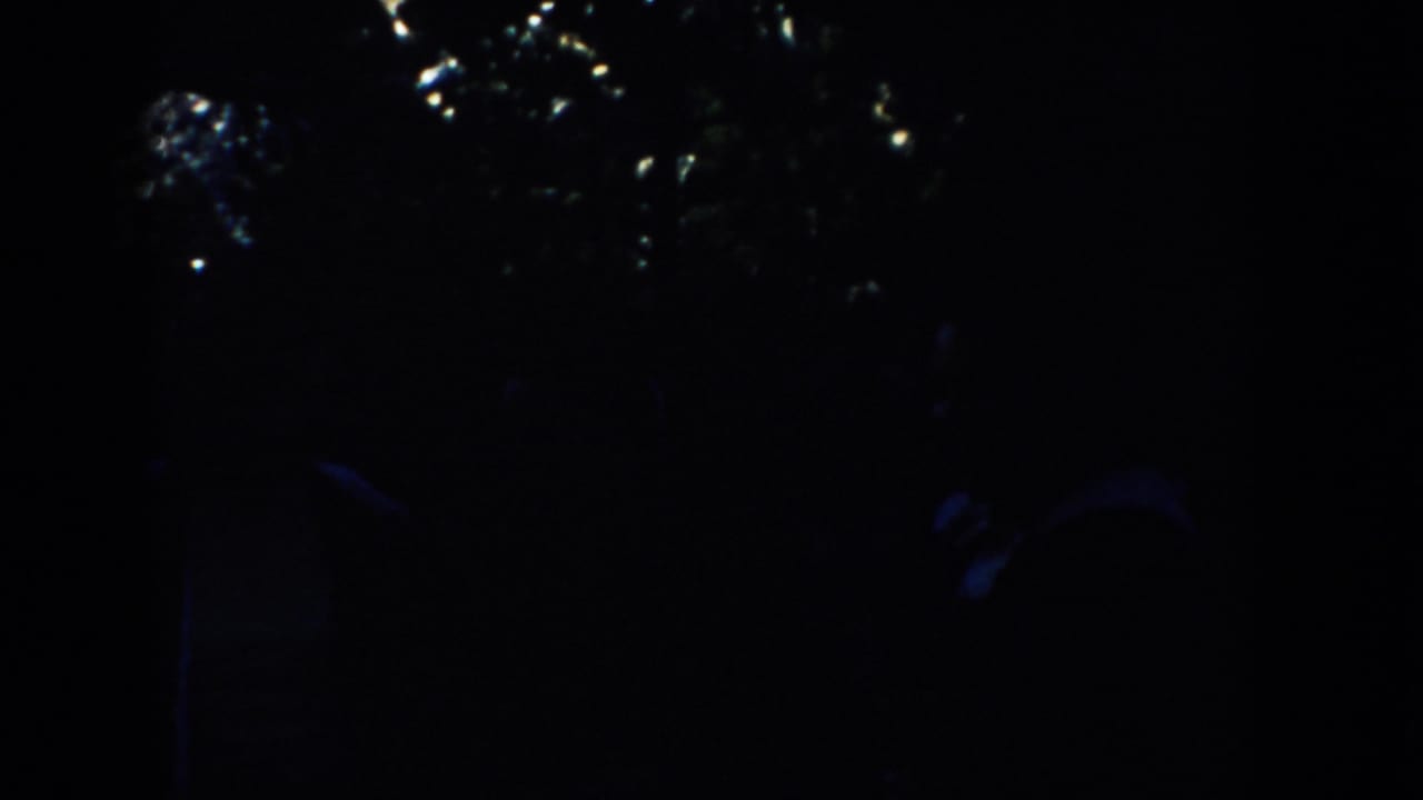 Mostly dark, obscured frame with faint foliage and little readable detail.