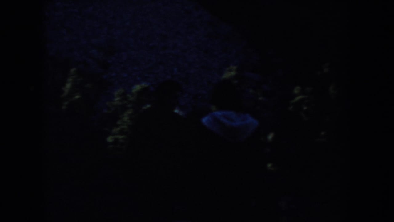 Silhouetted people walking in a very dark outdoor setting with faint foliage.