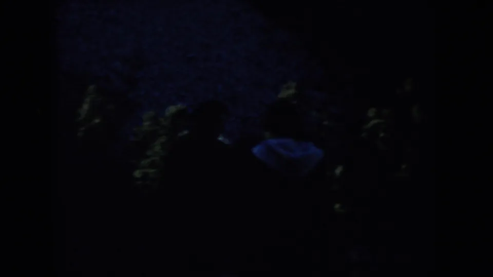 1953 South Dakota 8mm frame showing dark silhouettes walking past faint trees or shrubs at night.