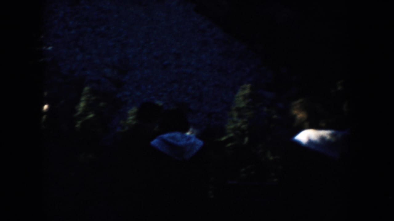 Low-light 1953 South Dakota home-movie frame with people walking near dark foliage and a pale shirt or jacket at right.