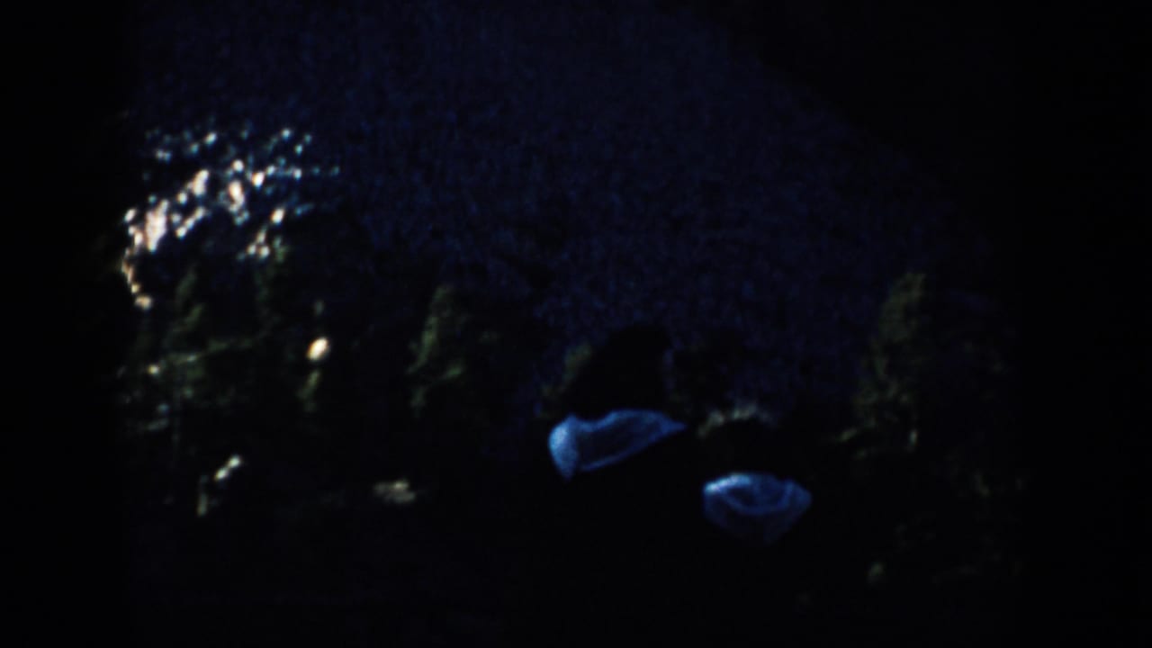 Grainy 8mm frame from 1953 South Dakota showing two dim figures moving past foliage at night.