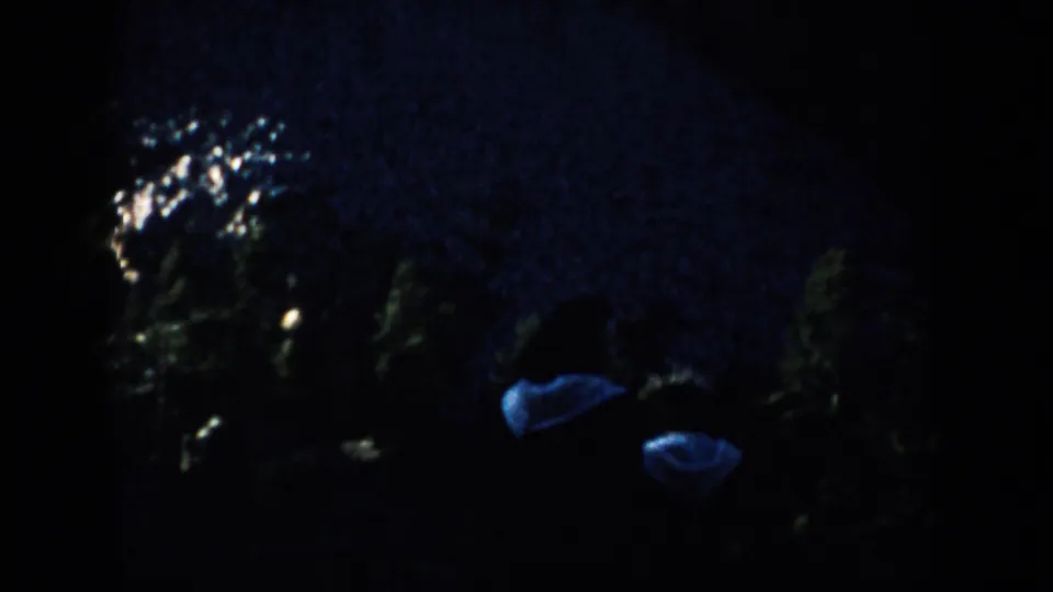 Grainy 8mm frame from 1953 South Dakota showing two dim figures moving past foliage at night.