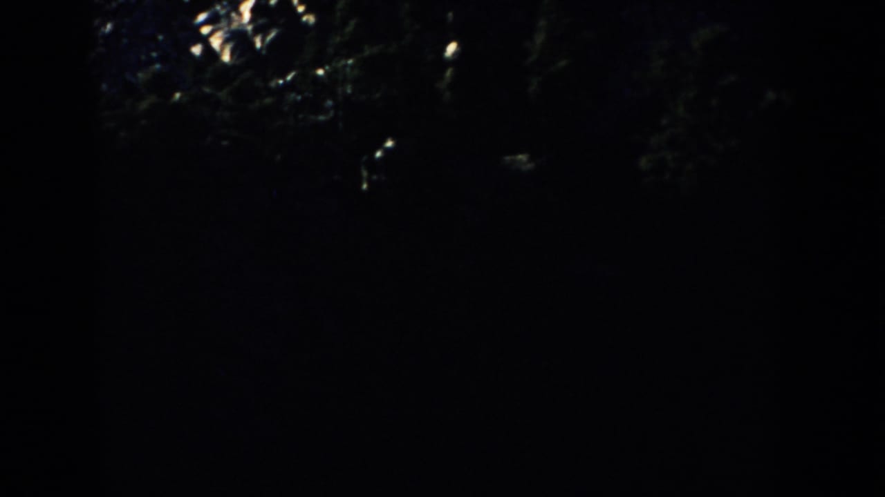 Dark 1953 home-movie frame near Mount Rushmore, with faint foliage and landscape detail visible at the upper edge.