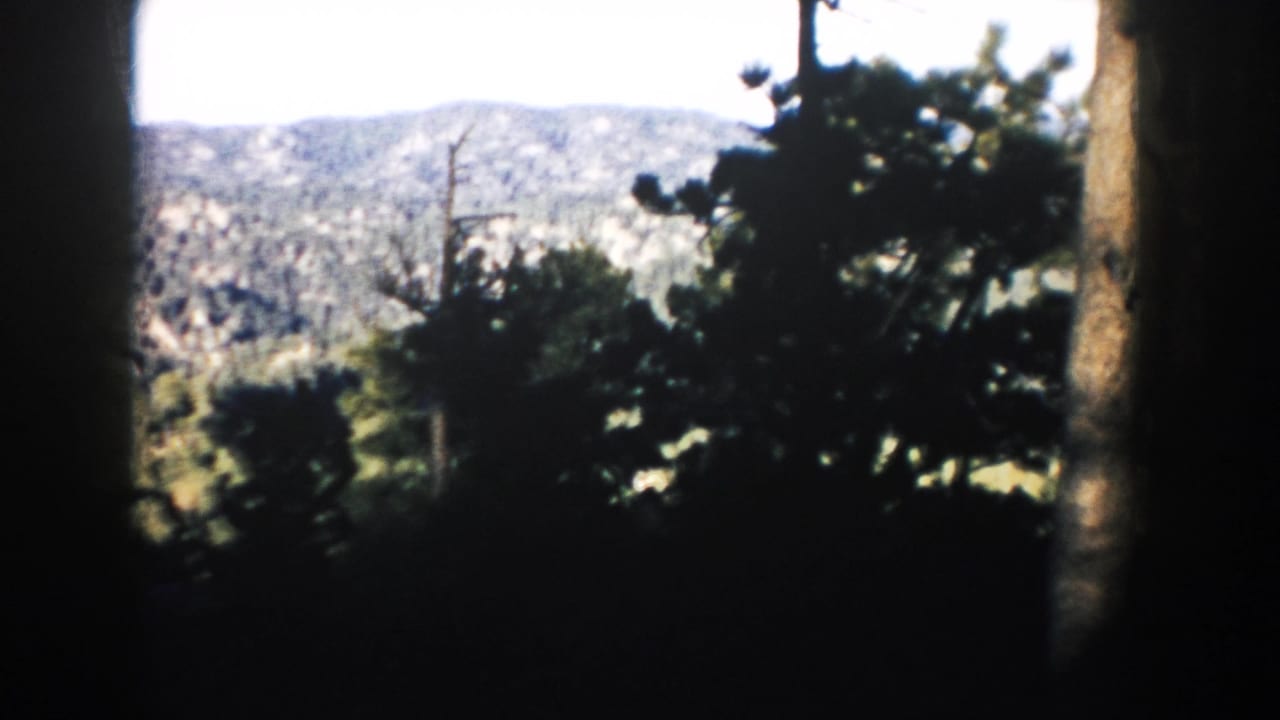 1953 8mm landscape view near Mount Rushmore, showing trees in shadow with pale Black Hills terrain beyond.