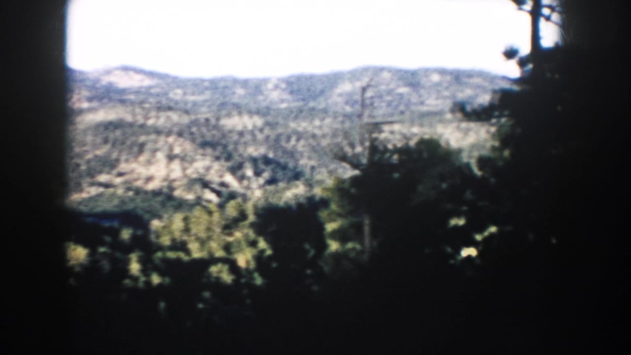 A 1953 South Dakota home-movie frame shows forested hills beyond dark tree trunks and rocky shadowed foreground.