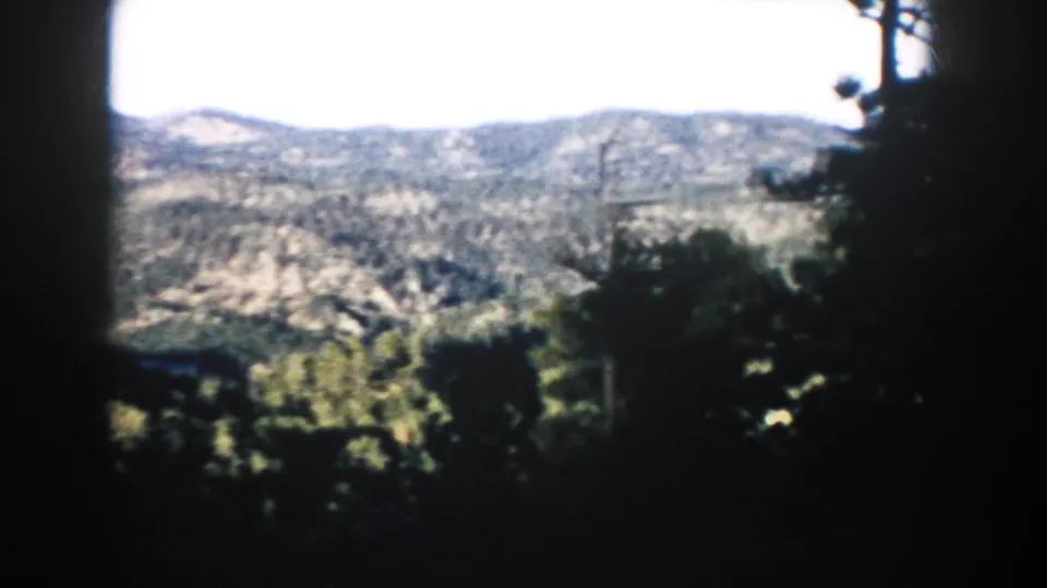 A 1953 South Dakota home-movie frame shows forested hills beyond dark tree trunks and rocky shadowed foreground.