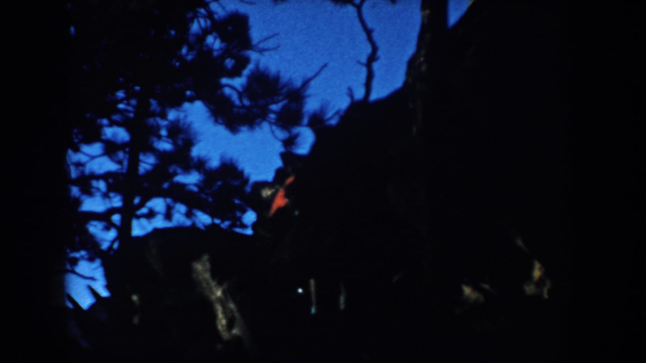 Dark silhouettes of people and pine trees against a deep blue dusk sky.