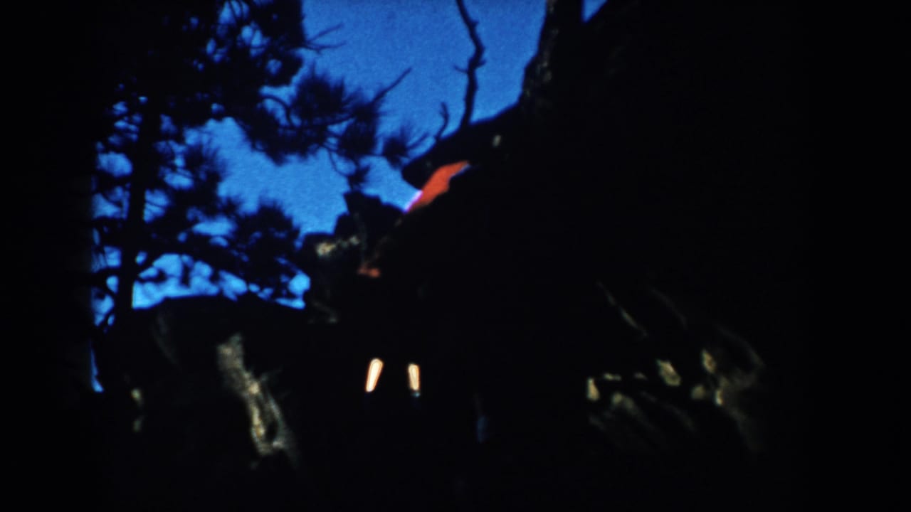 Shadowed wooded scene with a dark figure shape and small bright light streaks.