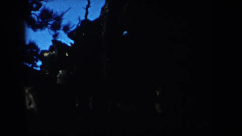A very dark 1953 South Dakota 8mm frame shows indistinct people and pine silhouettes against blue dusk light.