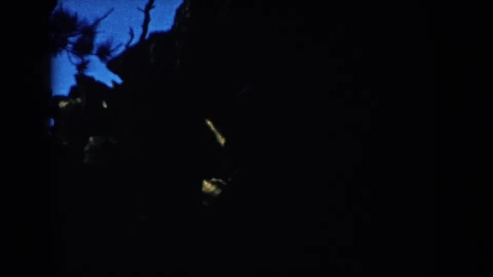 1953 South Dakota 8mm frame showing mostly darkness, tree silhouettes, blue twilight gaps, and small yellow light streaks.