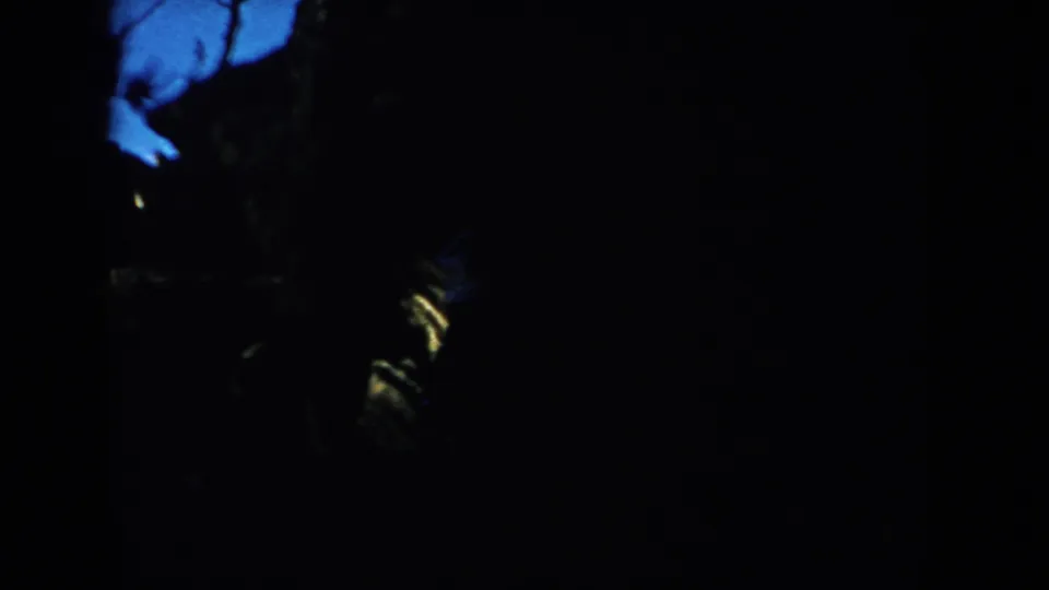 A South Dakota 1953 home-movie frame with silhouetted branches, deep black exposure, and faint yellow-blue light in the upper area.