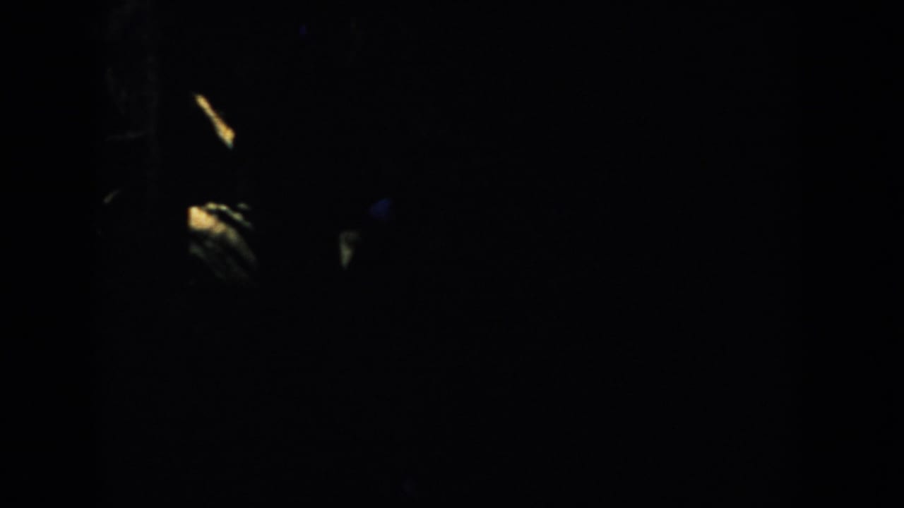 Mostly black frame with faint yellow light streaks and dark vertical shapes.