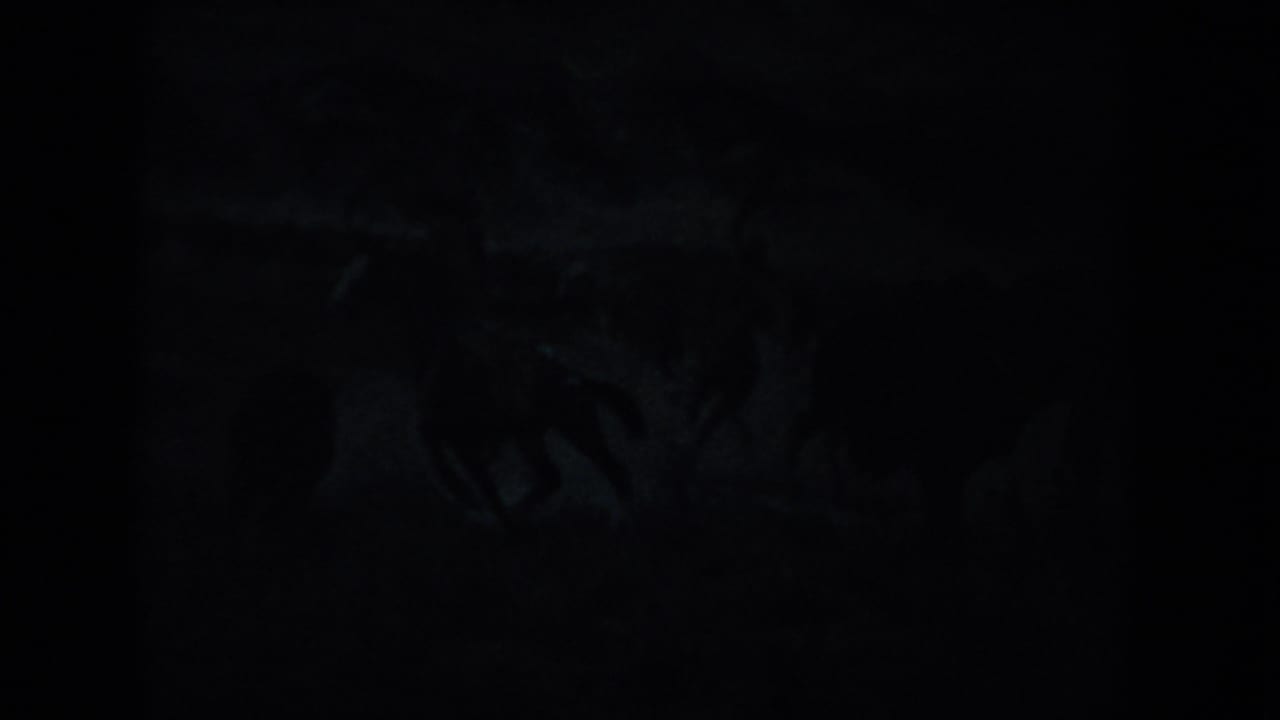 1953 South Dakota 8mm frame showing a nearly black cavern interior with faint rock surfaces and minimal visible detail.
