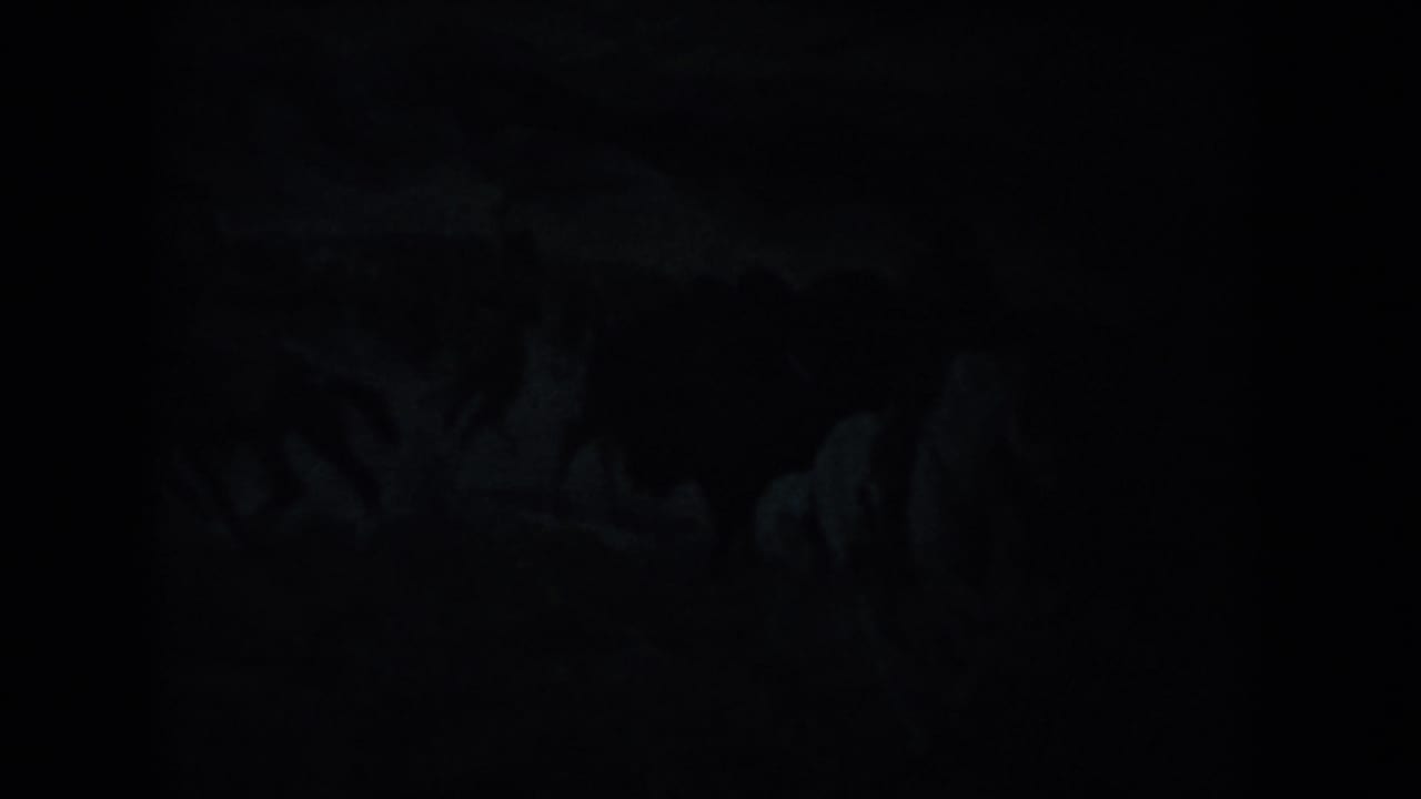 1953 South Dakota home-movie frame with faint cave formations near the top edge and a mostly black foreground.