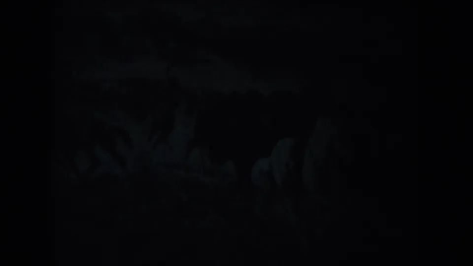 1953 South Dakota home-movie frame with faint cave formations near the top edge and a mostly black foreground.