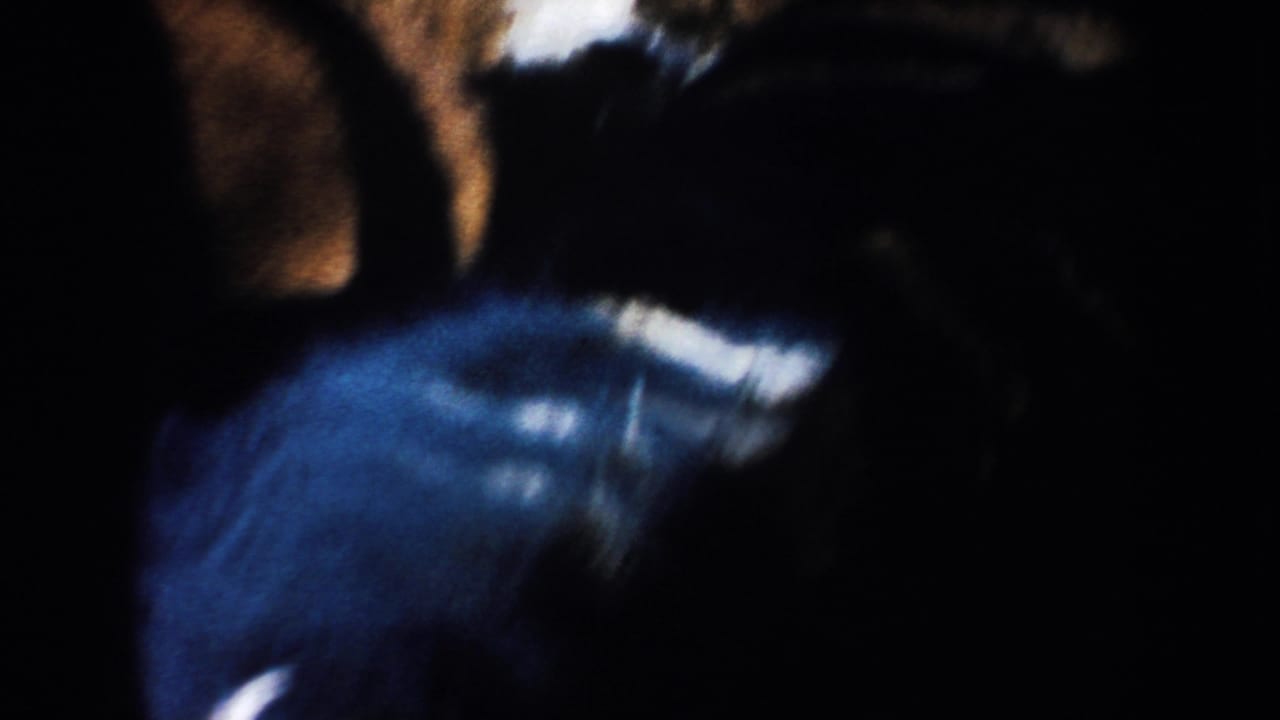 A blurred 1953 8mm frame shows cattle moving close to the camera inside the crowded farm pen.