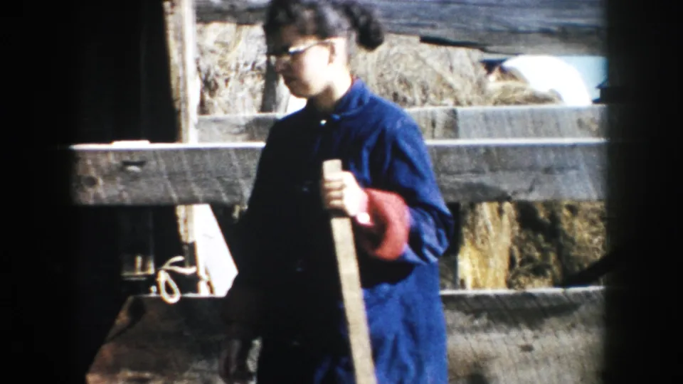 1953 South Dakota 8mm frame showing a person in a blue work coat and glasses beside wooden fencing, with cattle and hay behind.