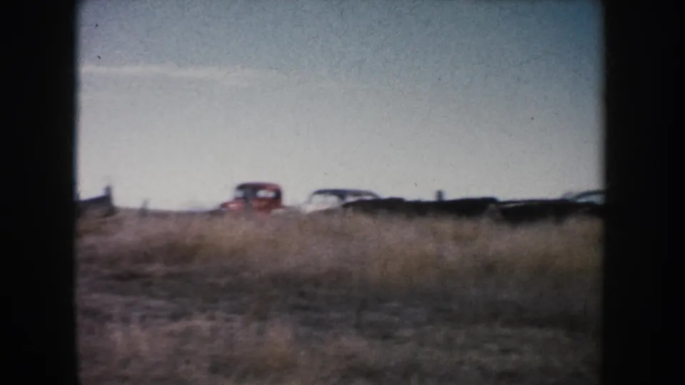A distant red automobile and other vehicles appear behind cattle in a 1953 South Dakota farm field scene.