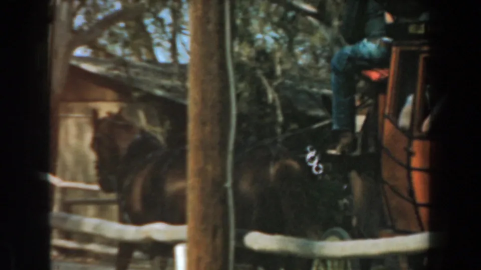 Knott's Berry Farm stagecoach and horses pass a wooden fence under trees in this 1961 8mm home-movie frame.